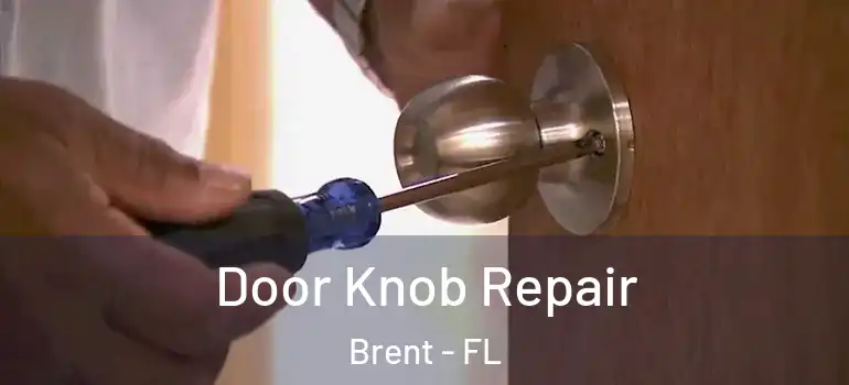  Door Knob Repair Brent - FL