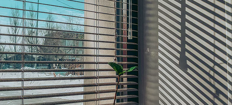 Commercial Window Blinds in Brent, FL