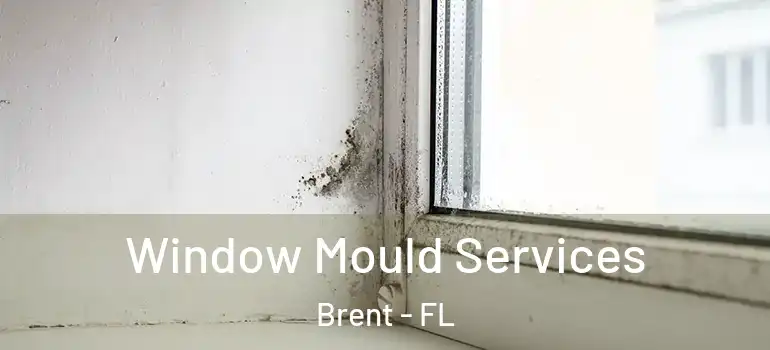  Window Mould Services Brent - FL